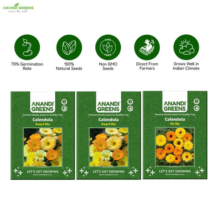 3-in-1 Calendula Seeds Combo Pack