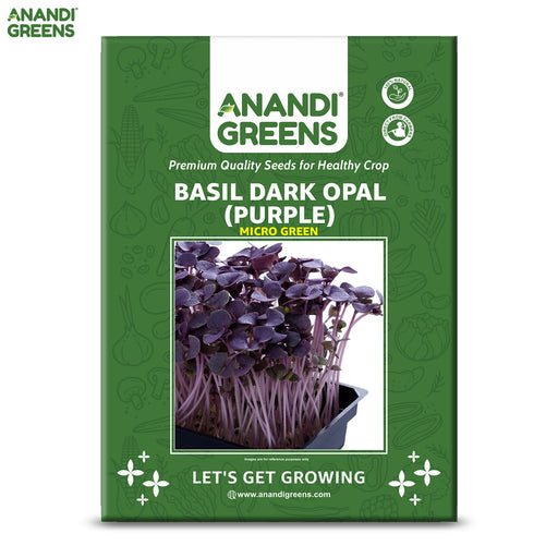 Basil-Dark-Opal-Microgreens