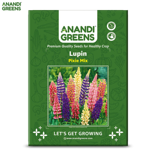 Lupin-(Pixie Mix) – Premium-Open-Pollinated-Seeds