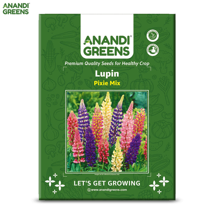 Lupin-(Pixie Mix) – Premium-Open-Pollinated-Seeds