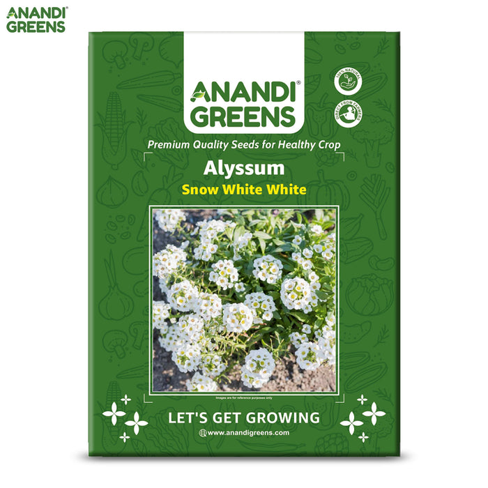 Alyssum-White-Carpet-Seeds