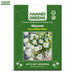 Alyssum-White-Carpet-Seeds