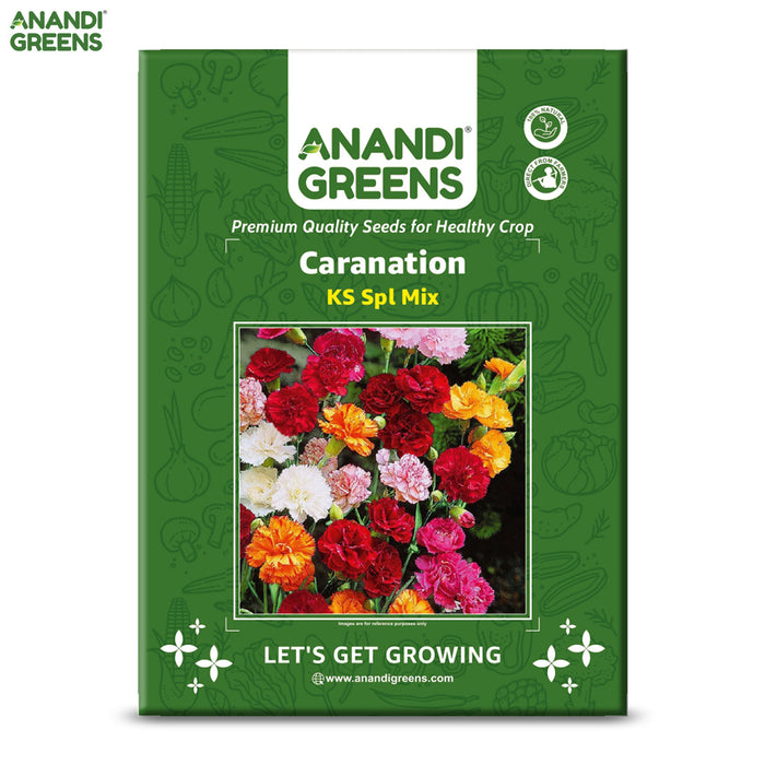 Caranation-(KS Spl Mix) – Premium-Open-Pollinated-Seeds