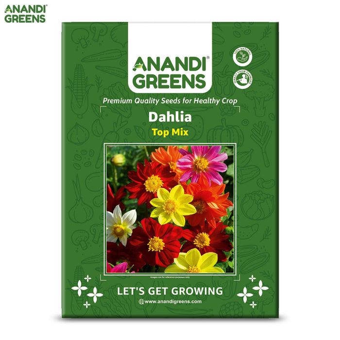 Dahlia-(Top Mix)