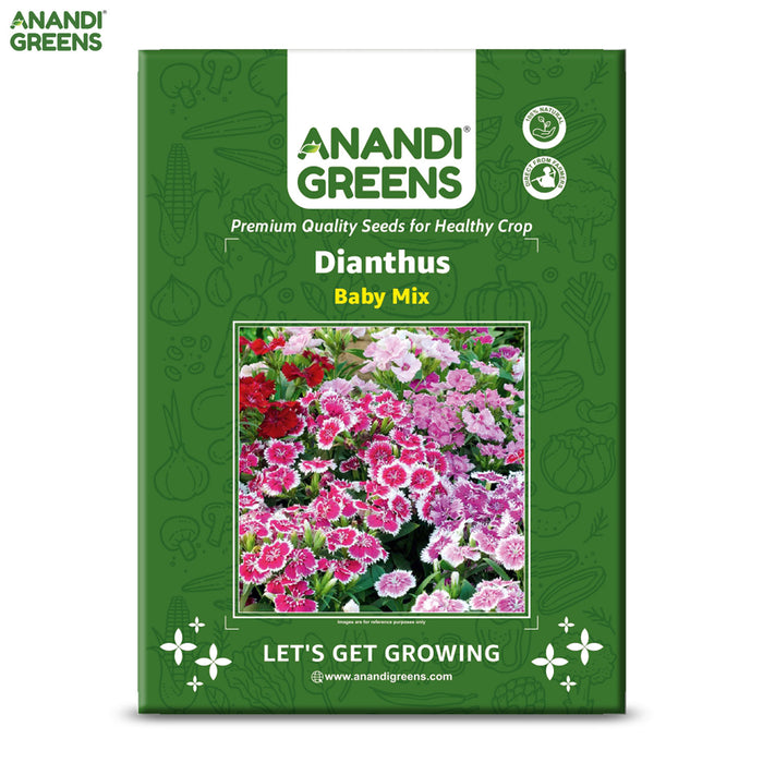 Dianthus-(Baby Mix)