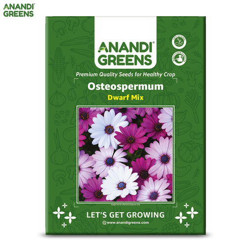 Osteospermum-(Dwarf Mix)-Seeds