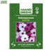Osteospermum-(Dwarf Mix)-Seeds