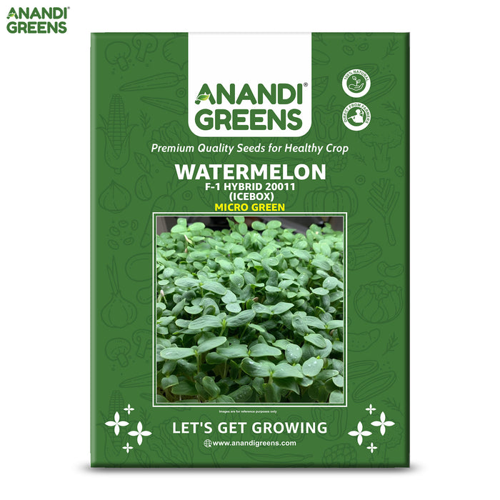 WATERMELON F-1 HYBRID (MICROGREEN)