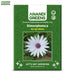 Dimorphotheca-(KS Spl White) – Premium-Open-Pollinated-Seeds