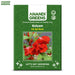 Balsam-(KS Spl Rose)
