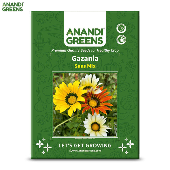 Gazania-(Suns Mix)