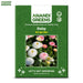 Daisy-(KS Spl Mix) –Premium-Open-Pollinated-Seeds