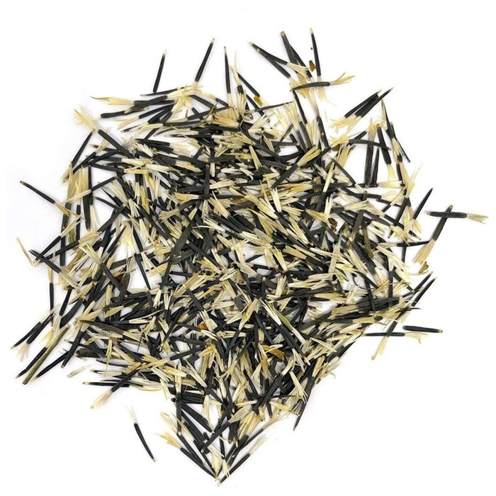 Marigold – French-Starfire-Mix-F1