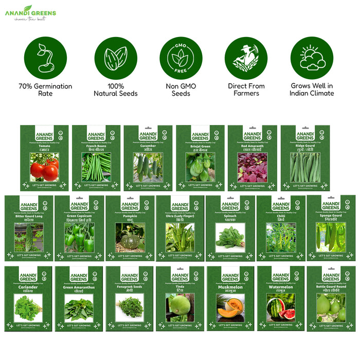 20 Summer Seeds Combo – Grow Your Own Fresh Veggies