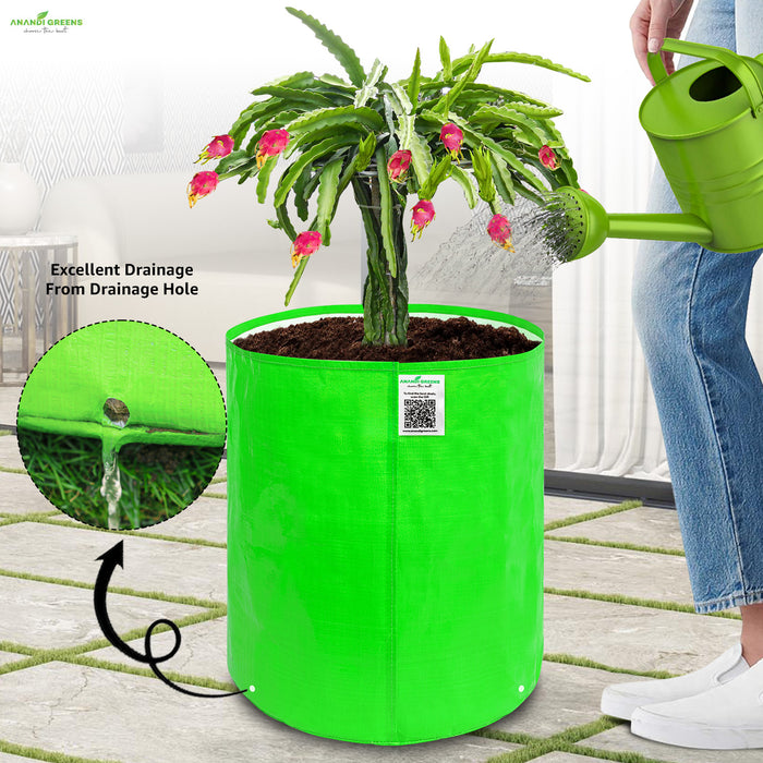 Green plant pot with excellent drainage feature, being watered by a person.