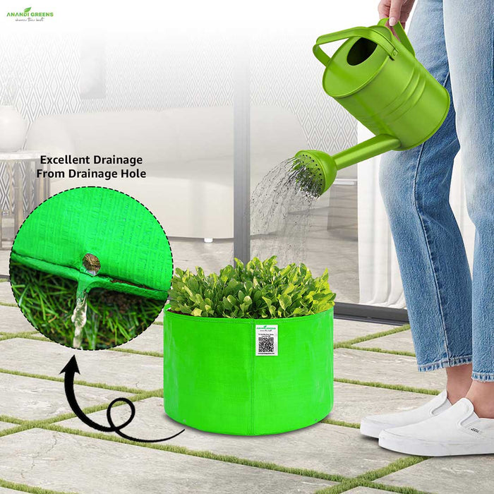 watering a green plant in a grow bag with a close-up of excellent drainage from the drainage hole.