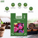 Aster – Fan-F1