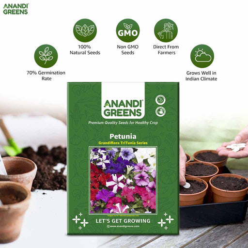 Petunia – Grandiflora-TriTunia-Series-F1