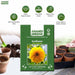 Sunflower – Dwarf-Teddy-Bear-F1