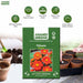 Tithonia – Red-Flame-F1