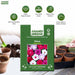 Vinca – Pacifica-Series-F1