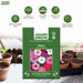 Vinca – Sun-Storm-Series-F1