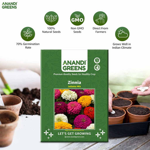 Zinnia – Juliette-Mix-F1