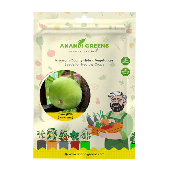 F1 Hybrid Tinda (टिंडा) Seeds