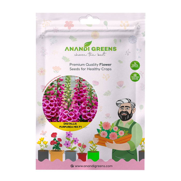 Digitallis – Purpurea Mix F1