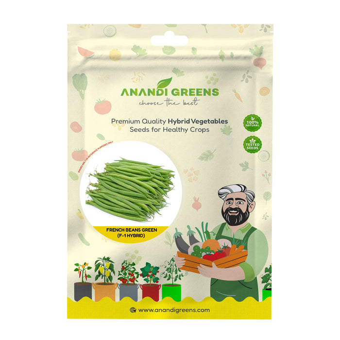 French Beans (Green Beans) Seeds