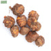 Axia-Top-Flower-Bulbs