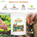 Trichoderma-viride-Powder-Fertilizer