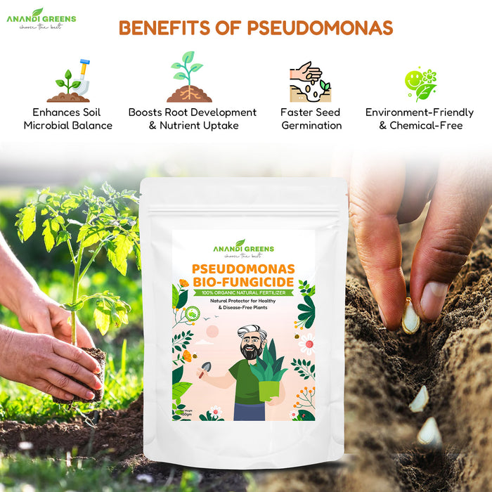 Pseudomonas  | स्यूडोमोनास – Bio-Fungicide & Soil Probiotic