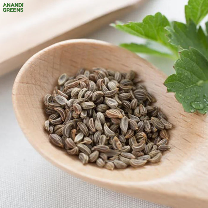 Parsley (Cress Curled) Seeds