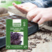 Basil-Dark-Opal-Microgreens