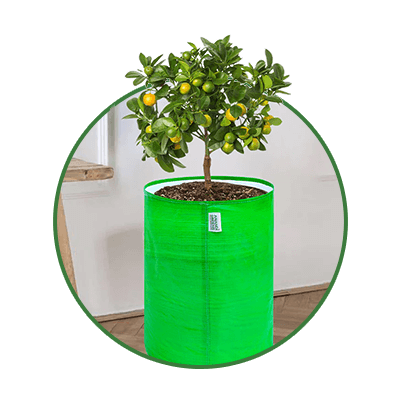 HDPE Green Grow Bag