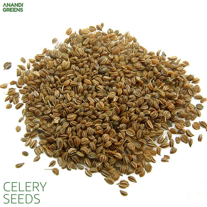 celery seeds for planting Celery Seeds for Your Garden – Fresh & Flavorful Harvest — Anandi Green's