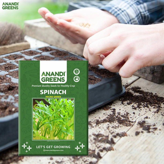 Spinach (पालक माइक्रोग्रीन) Microgreens Seeds