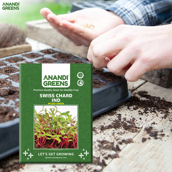 Swiss Chard IND (MICROGREEN)