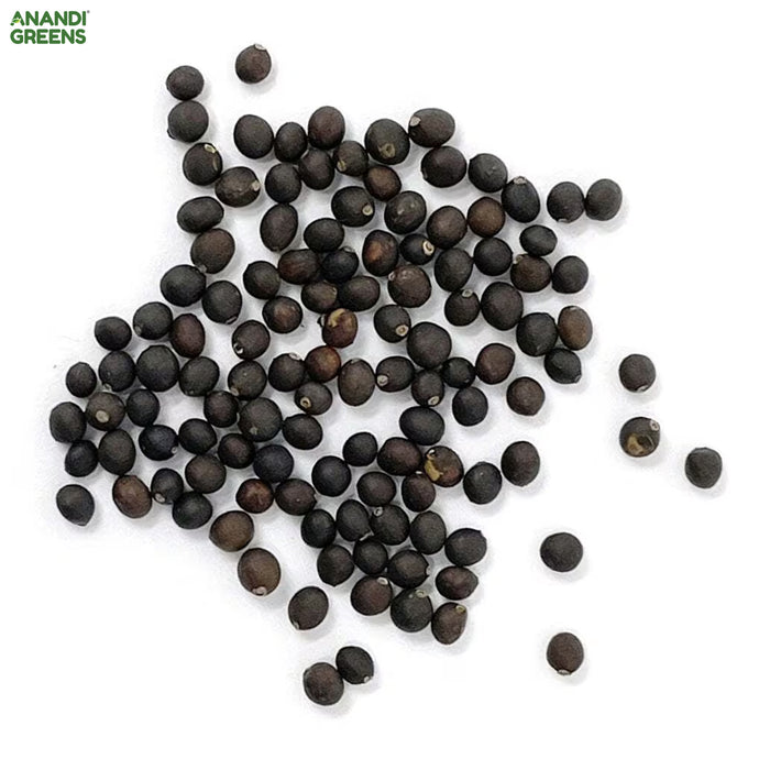 Thyme (थाइम) Seeds