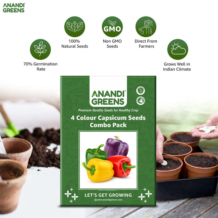 Anandi-Greens-4-Colour-Capsicum-Seeds-Combo-Pack-with-gardening-elements-in-the-background