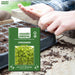 Coriander-Microgreen-Seeds
