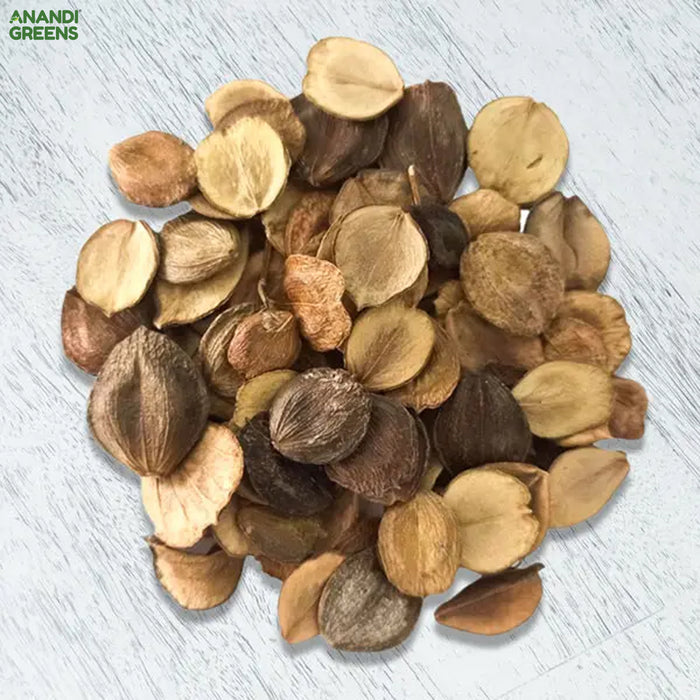 harsingar plant seeds Harsingar Seeds