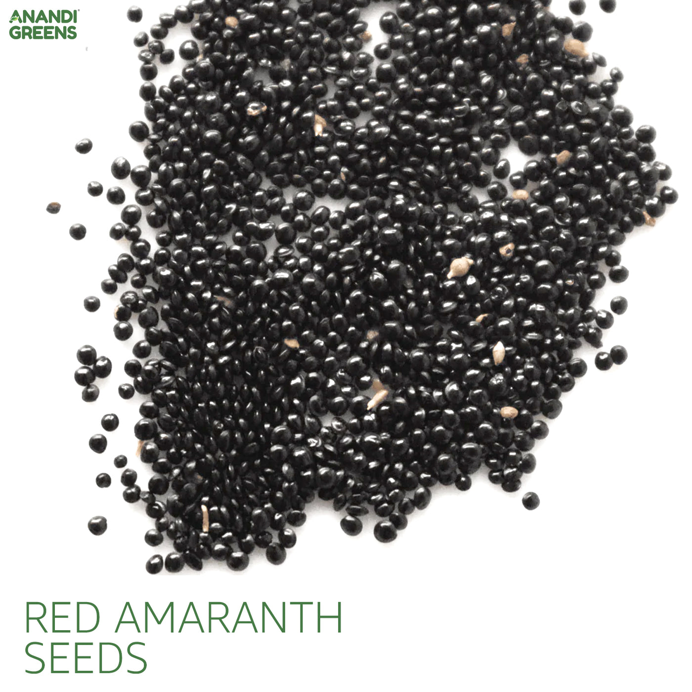 Red Amaranthus (Lal Saag) Seeds — Anandi Green's