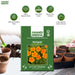 Marigold – French-Starfire-Mix-F1