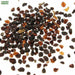 Caranation-(KS Spl Mix) – Premium-Open-Pollinated-Seeds