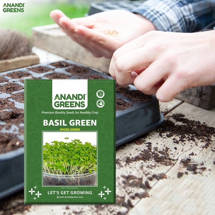 Basil Green Microgreen Seeds