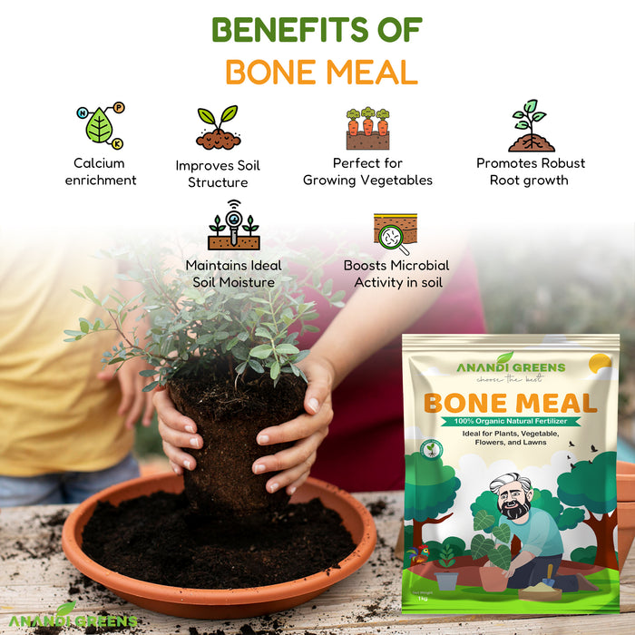 Premium Quality Bone Meal Plant Growth Manure Fertilizer - Organic, Rich in Phosphorus and Calcium