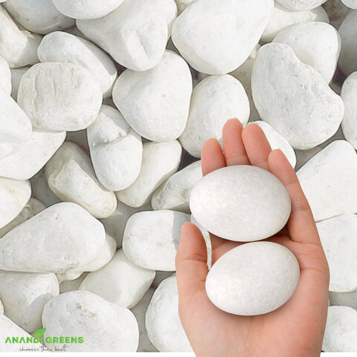 White Unpolished Decorative Stones – सफ़ेद बिना पॉलिश के पत्थर