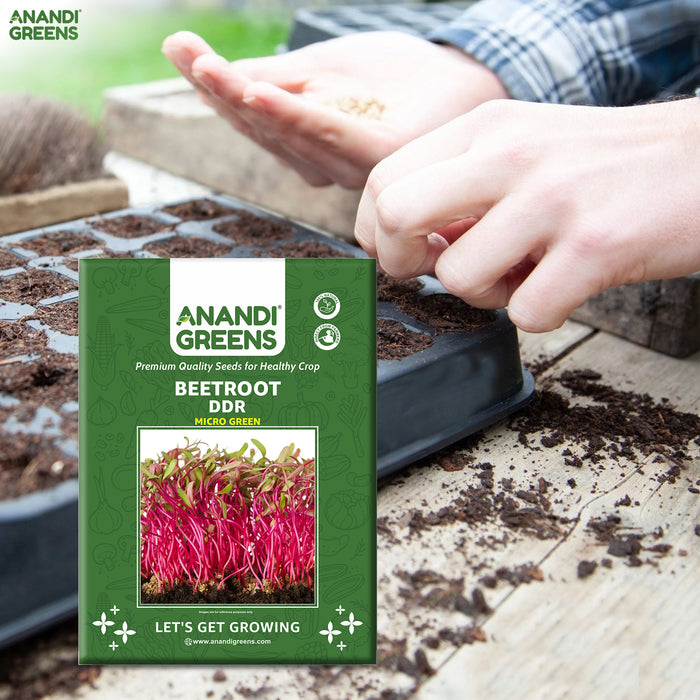DDR-Beetroot-Microgreen-Seeds